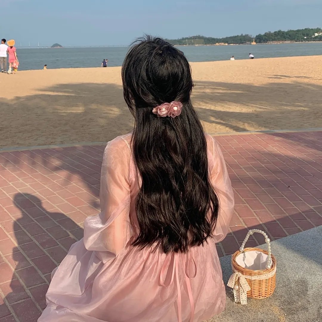 布里斯比熊