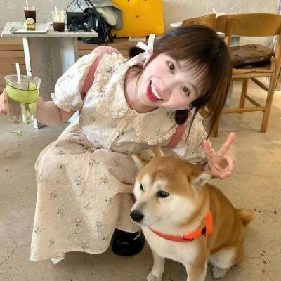 狗纹龙爸爸